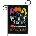 Ornament Collection 13 x 18.5 in. Falltime Halloween Bunch of Hocus Pocus Garden Flag G190179-BO